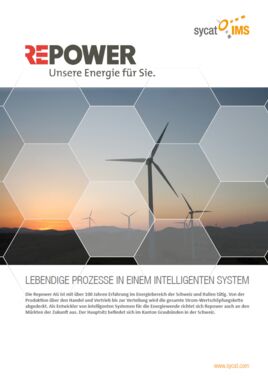 PDF-integriertes Managementsystem bei Repower AG