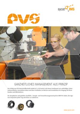 PDF-Ganzheitliches Management bei PVS Kunststofftechnik GmbH & Co. KG